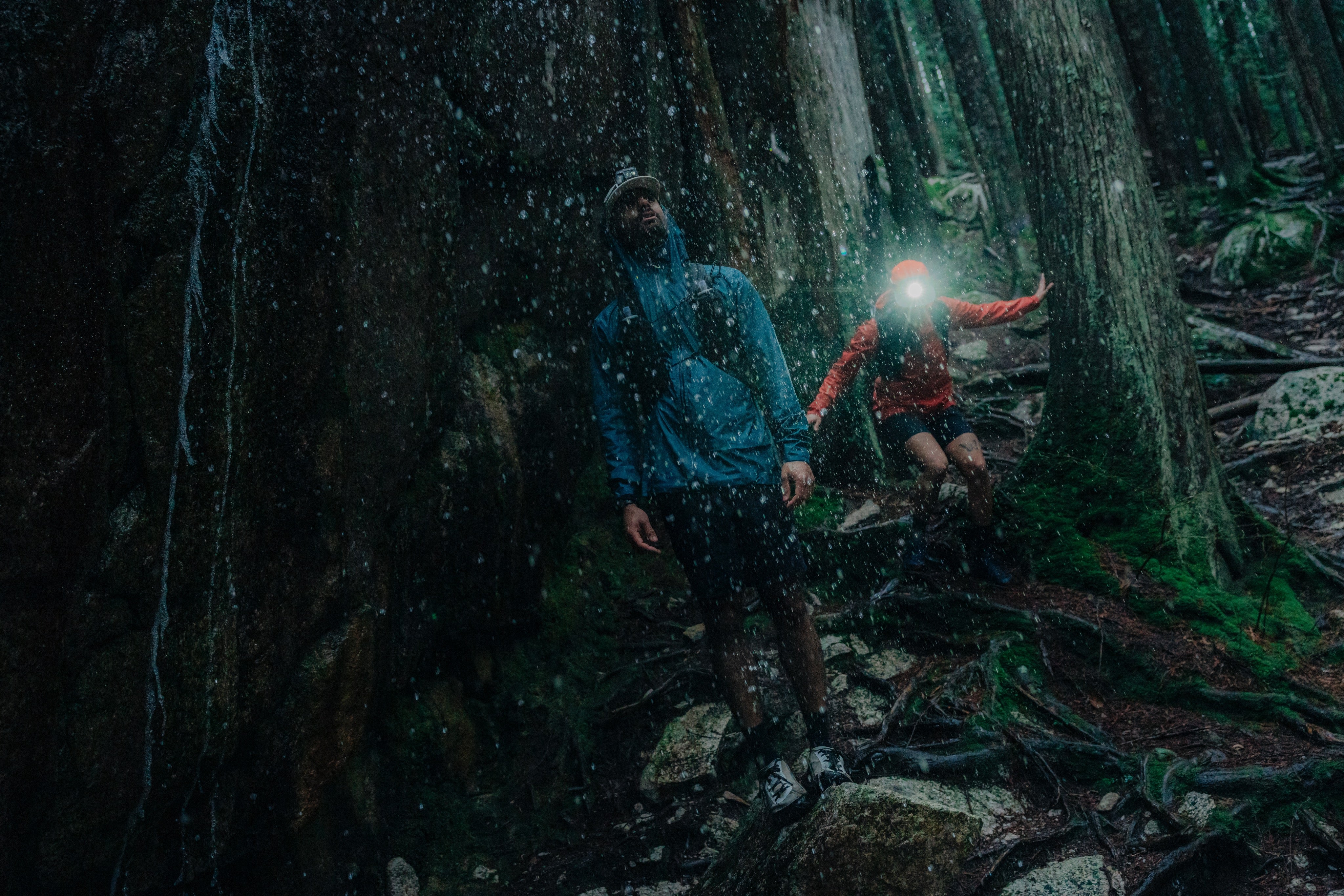 7MESH Japan セブンメッシュ