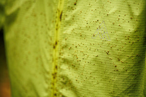 NORTHWOODS WINDSHELL MEN'S