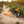 NORTHWOODS WINDSHELL MEN'S