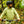 NORTHWOODS WINDSHELL MEN'S