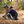 FLIGHTPATH PANT WOMEN'S