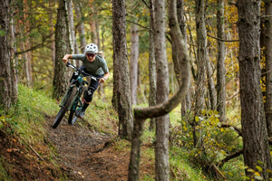 TRANSITION SHORTS 12"  WOMEN'S