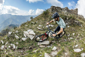 TRANSITION SHORTS 13"  MEN'S