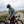 TANTALUS JERSEY LS MEN'S